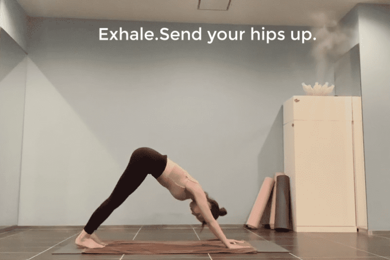 Downward-facing Dog Pose・ダウンドッグ