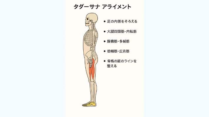 ヨガの山のポーズのアライメントのイラスト